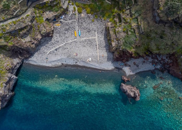 4c3c8972-6869-4db8-97e3-075af869b7d3