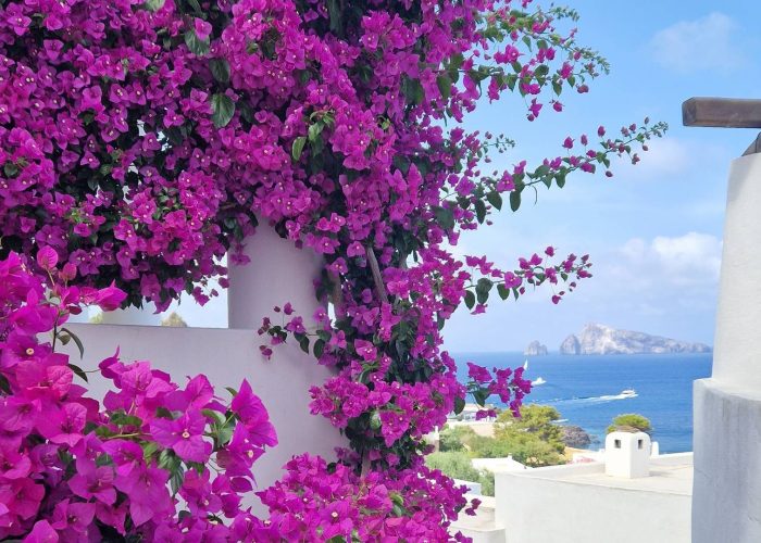 85854071-847a-4f1b-bf11-57463c3ad5cb