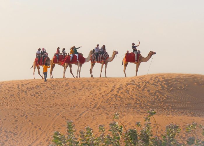 desert-5259529_1280