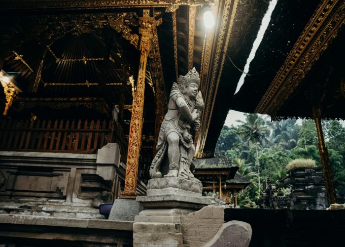 pexels-alesiakozik-5993005(1)