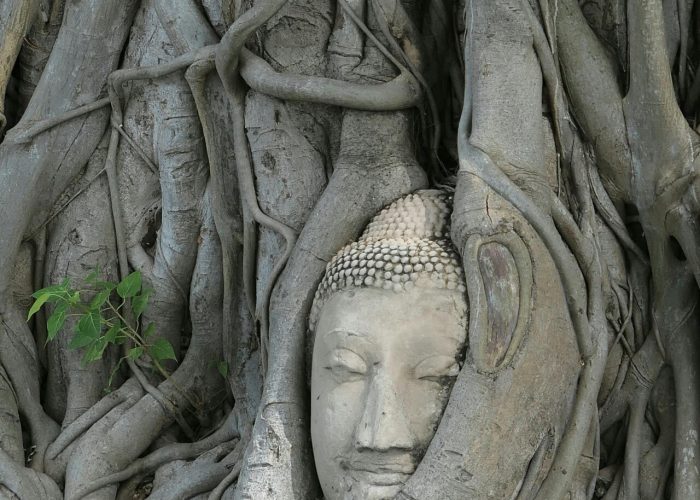 pexels-berth-341982512-33336527