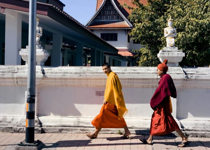 pexels-billow926-2948812-4515041