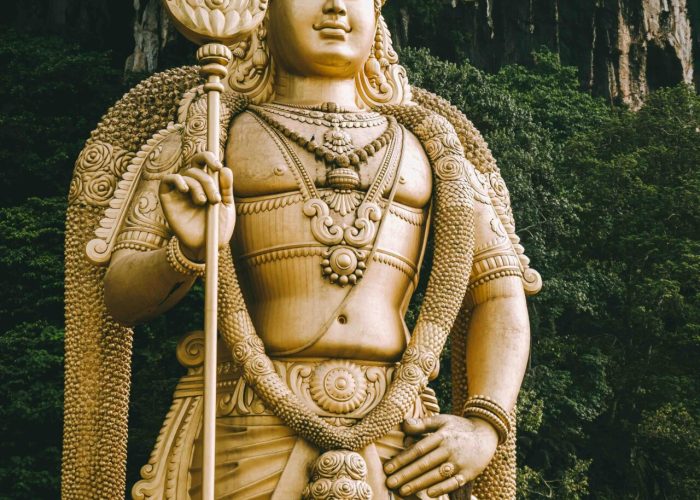 pexels-cknguyen-26967351