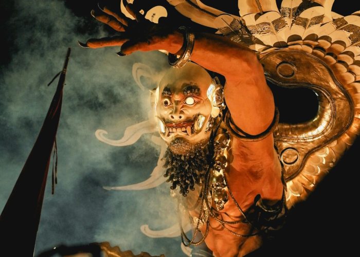 pexels-damaaa-31877524