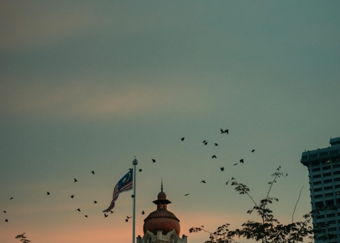 pexels-darshan394-2389473