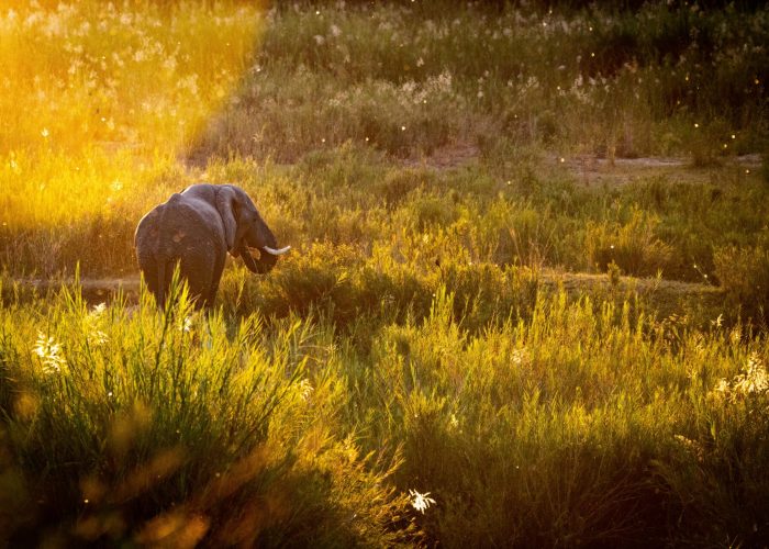 pexels-elliotconnor-12915070