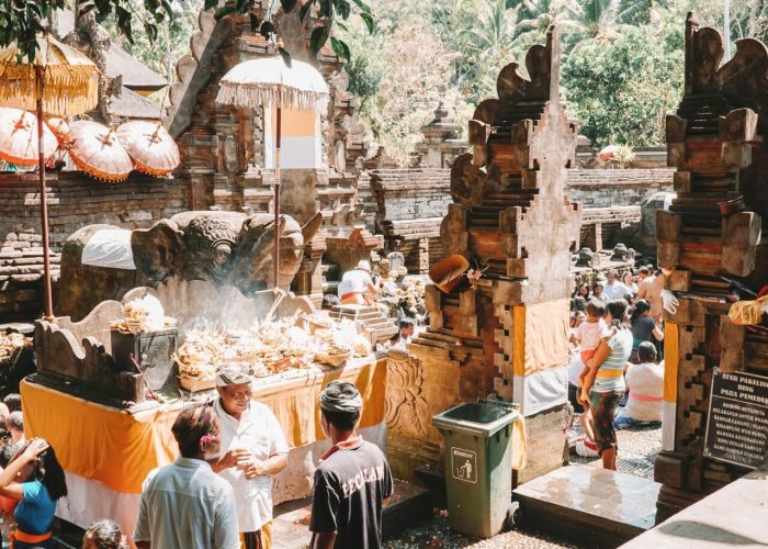 pexels-esrageziyor-45760220-11218912