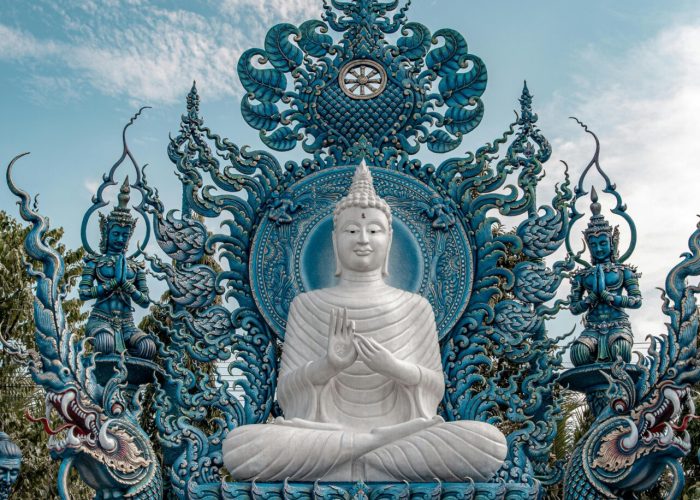 pexels-gije-16963635