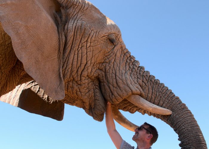 pexels-kenny-king-29728222-6961566