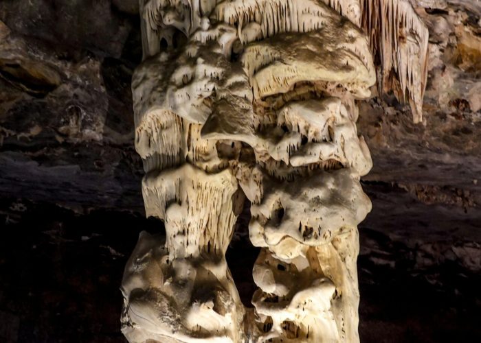 pexels-magda-ehlers-pexels-14165093