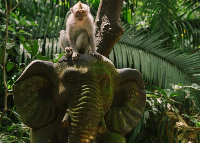 pexels-mikhail-nilov-7723958