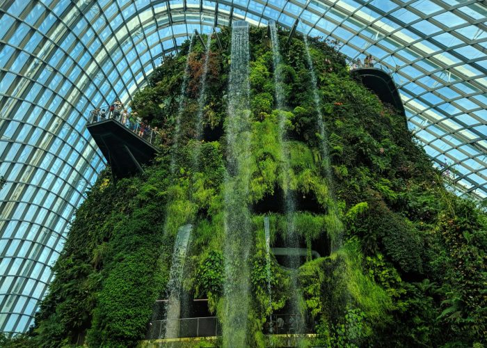 pexels-mwarapitiya-2694104