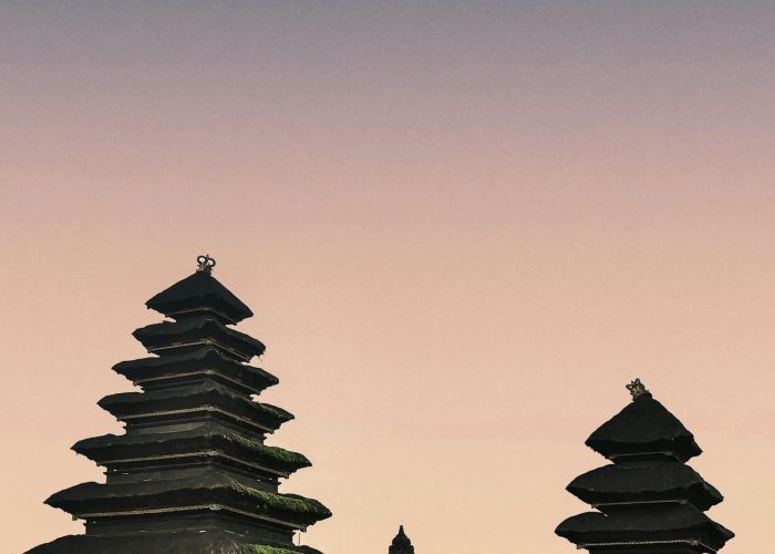 pexels-naresh148-6099311