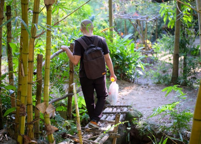 pexels-nhavantuonglai-33082672