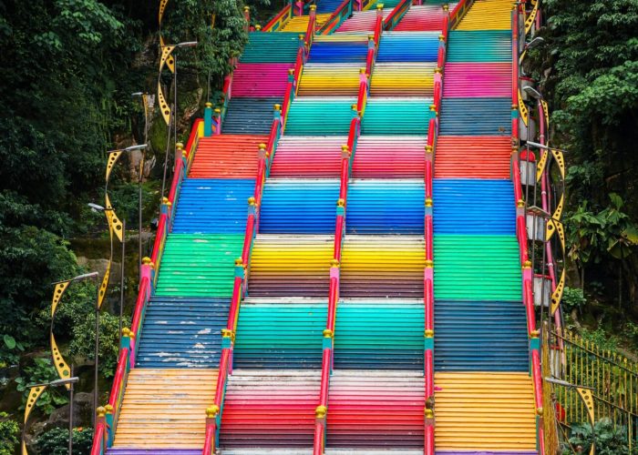 pexels-ninh-tien-dat-393934339-33282888