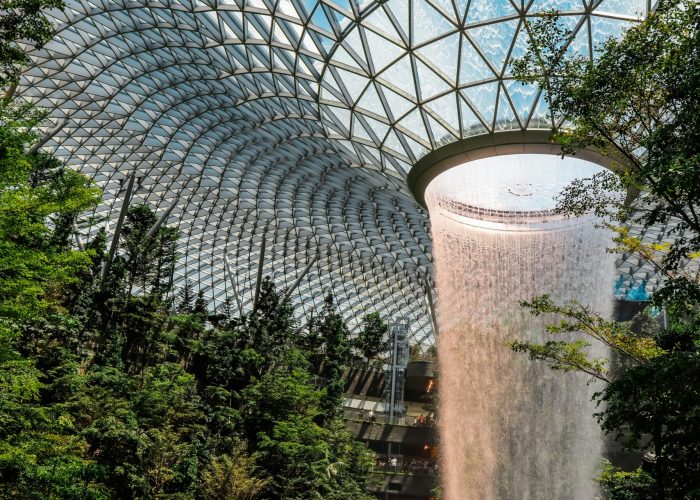 pexels-palumalerba-2426546