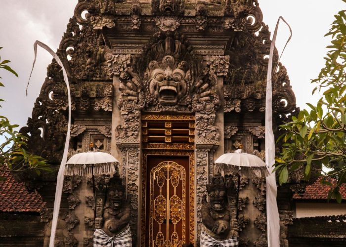 pexels-palumalerba-2426565