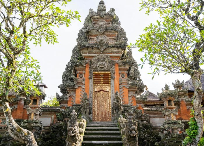 pexels-pragyanbezbo-32877832