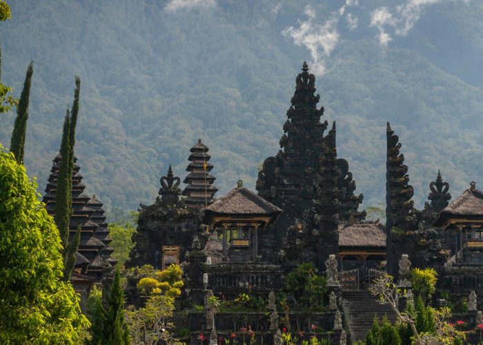 pexels-revlisajwinston-14984120