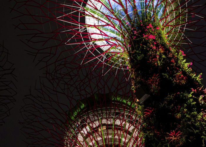 pexels-richard-l-2150581203-33349047