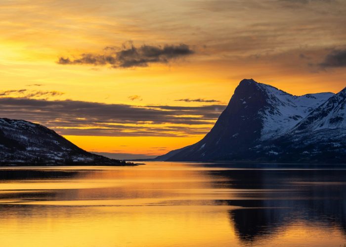 pexels-rune-bjornsen-921255596-25490482