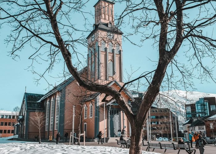 pexels-tobiasbjorkli-2119709