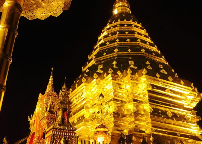 pexels-w-w-299285-889931