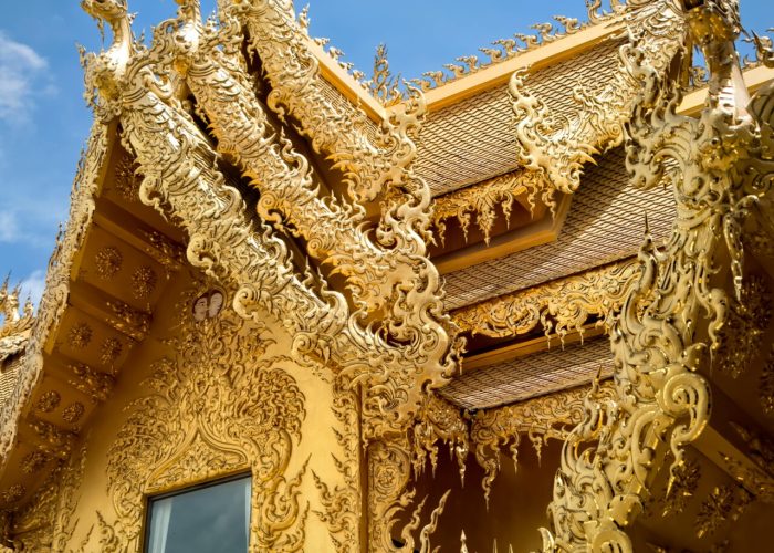 pexels-waltlange-11711831