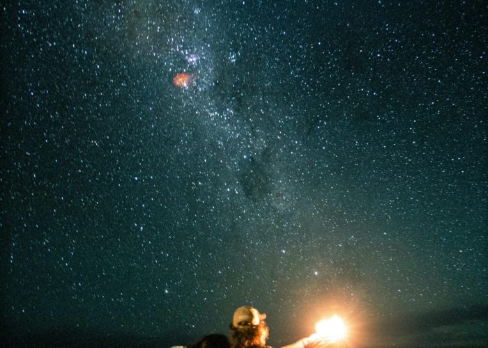 pexels-worldisnotourhome-11729589